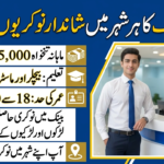 Faysal Bank Branch Service Officer Jobs 2026 – Apply Online