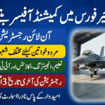 Pakistan Air Force Jobs 2026 Apply Online at joinpaknavy.gov.pk
